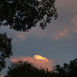 一级黄色片日本小小美女免费
